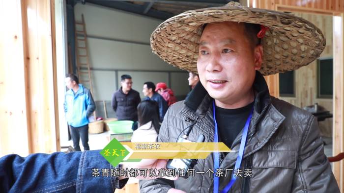 关于福鼎白茶大数据溯源平台正式运行，听听茶农茶企都是怎么说！的热门新闻(10)