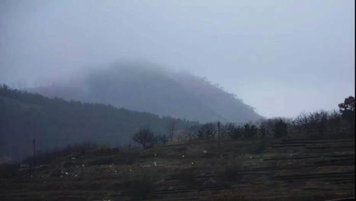 有关于清明节前两日，日照绿茶产区迎来了一轮降温降水天气的新闻