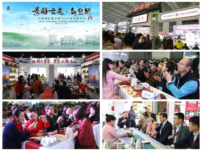 关于2020下半年六堡茶产业持续发力，这些热点你都关注了吗？的热门资讯(6)