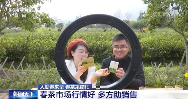 关于全国春茶采摘好时节 茶农忙着采摘新春第一捧新茶的信息(6)