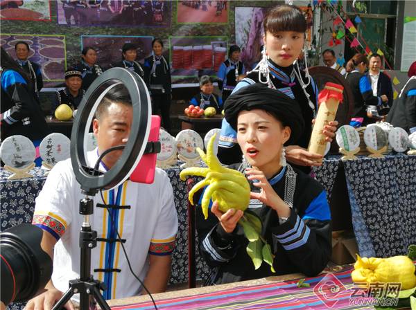 有关于云南江城：直播带货促茶热销 乡村振兴得助力的最新资讯(1)