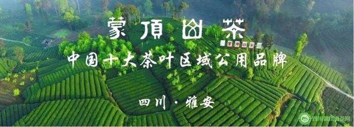 有关于2021中国茶叶区域公用品牌价值评估发布，蒙顶山茶40.99亿元的消息(3)