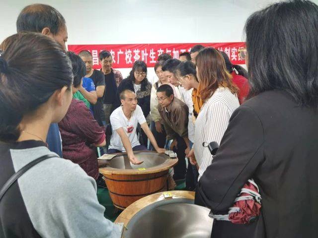 关于理论实践紧密结合，加快茶叶职业技能提升步伐的资讯(10)