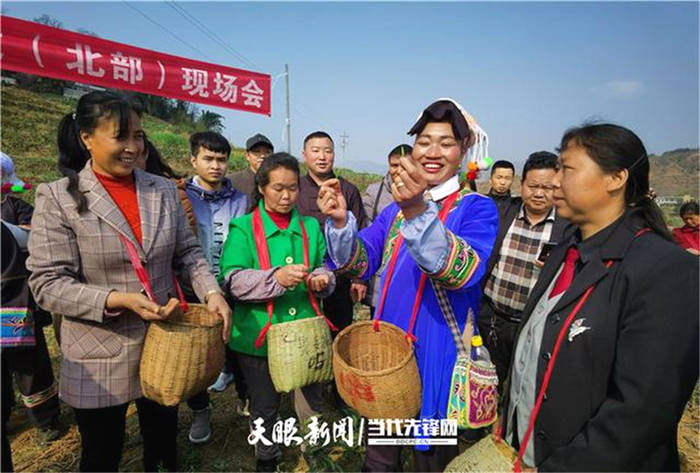 关于贵州普安召开全县茶产业带建设现场推进会的消息(2)