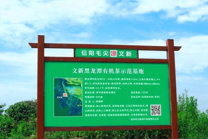 有关于每一片文新茶叶,都有属于自己的生态茶园的热门资讯(4)