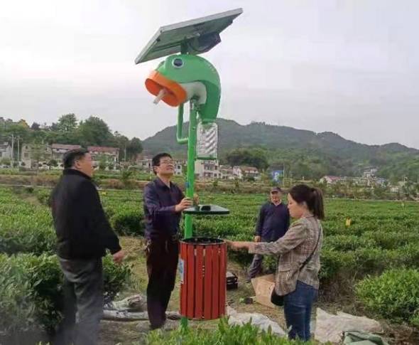 关于英山引进新型诱虫灯 助力生态茶园绿色高效发展的新闻