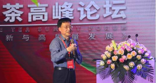 有关于中国白茶高峰论坛:专家云集,把脉福鼎白茶“新风向” 的消息(3)
