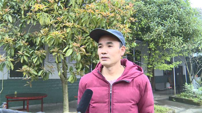 有关于雅安名山:总岗山下茶飘香 前进镇茶企抢抓黄金时节生产名优春茶的新闻(3)