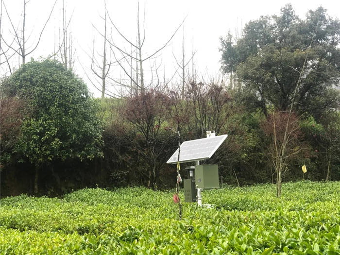 有关于一部手机掌控整个茶园，浙江开化茶农有了“好帮手”的消息(1)