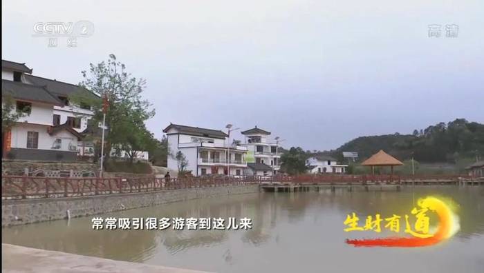 有关于茶旅融合香更浓 梧州市促六堡茶产业高质量发展的热门信息(3)