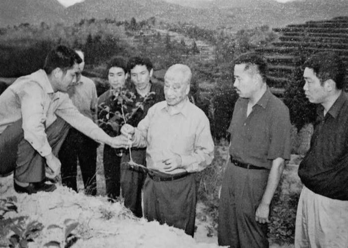 有关于福建省委书记尹力：茶叶是福建的一张名片的热门消息(3)