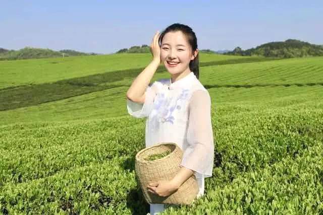 有关于黔茶喜获大丰收,一张张笑脸就是幸福生活的味道!的热门信息(7)