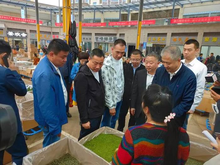 关于现代茶产业如何做强做大？福鼎赴雅安考察取经的资讯(8)