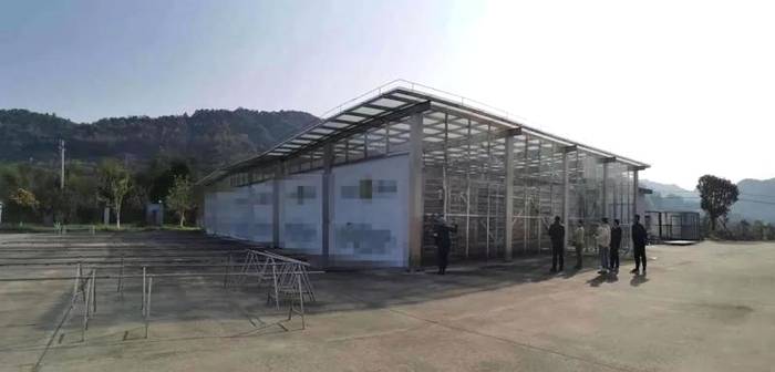 有关于2021年福鼎白茶最新价格行情快讯（2021年3月15日）的资讯(7)