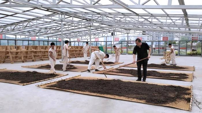 有关于又一项制茶技艺被列入国家最新非遗名录，湖北共计3项入选的最新信息(8)