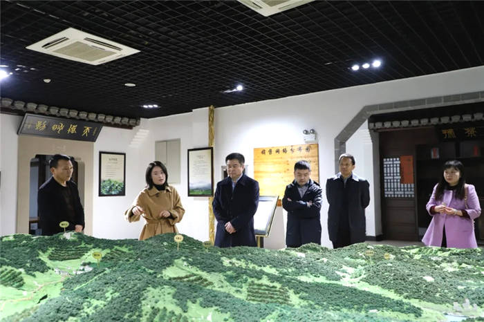 有关于中国供销惠农服务公司董事长刘鹤东一行赴黄山调研茶产业发展与合作的热门资讯