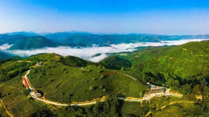 关于陕西平利：追求美丽18年 点绿成金20载的消息(2)