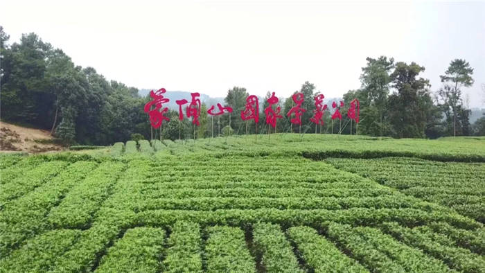 关于一周茶事 | 南北茶叶随国际货列香飘“一带一路”；茶业“国展”有新规划的新闻(2)