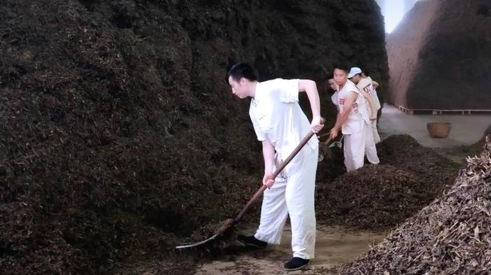 有关于又一项制茶技艺被列入国家最新非遗名录，湖北共计3项入选的最新信息(9)