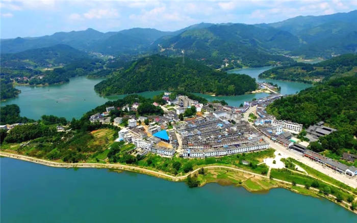 有关于安徽：太湖县寺前镇成功举办第五届茶叶发展论坛的新闻(12)