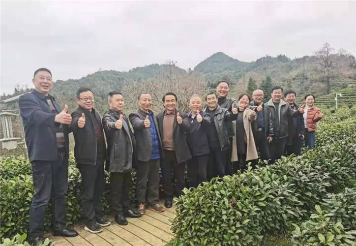 关于安徽：六安市茶协赴黄山考察交流茶产业发展的信息