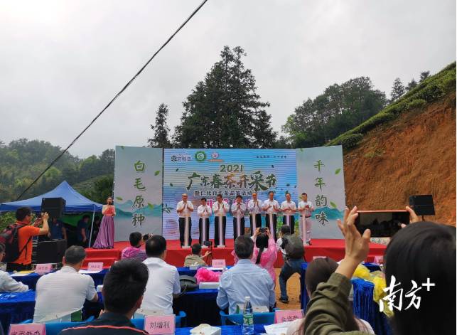 关于采茶正当时！广东春茶开采节在仁化红山镇举行的热门新闻(1)