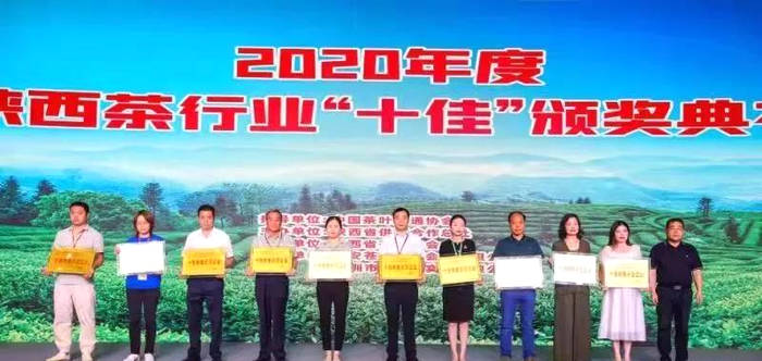 有关于紫阳在第十五届西安国际茶博会上揽获14项大奖的热门信息(1)