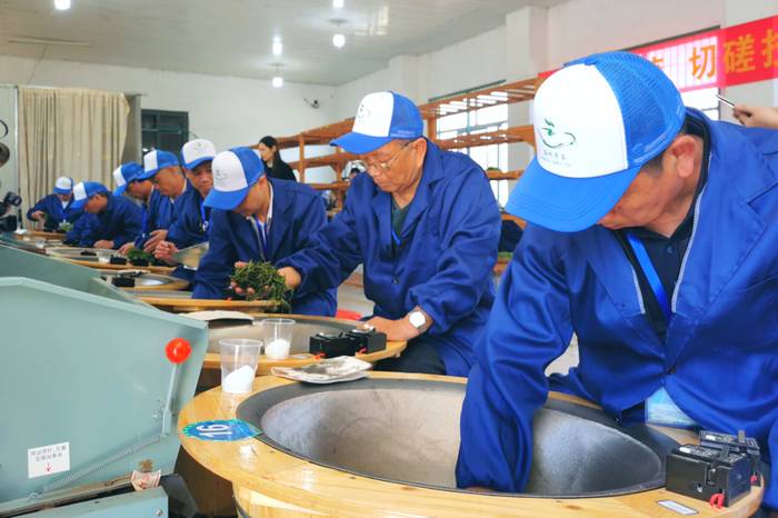 关于温州市评出十大制茶大师十大精品名茶 助力打响“温州早茶”品牌知名度的最新消息