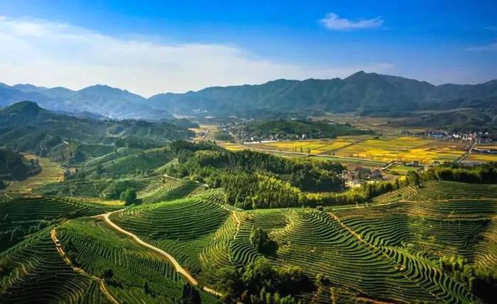 关于2021年4月6日“政和白茶号”列车冠名首发仪式在福州站候车厅举行的最新消息(2)