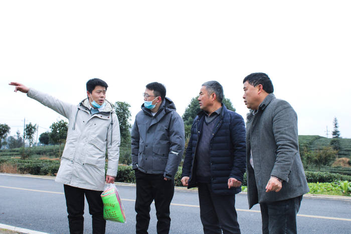 有关于|遵义茶业集团凤冈出口茶产业基地建设项目正式启动土地征拆工作的热门信息