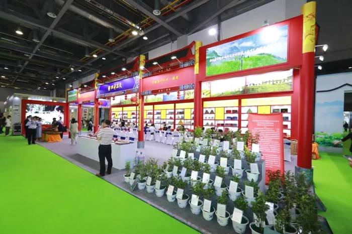 关于创新花果香型坦洋工夫亮相“国展”,百年工夫红茶再出发!的最新信息(12)