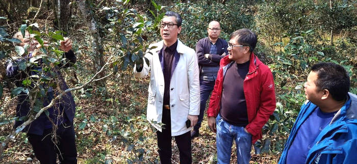关于东莞茶协考察粤北茶区 振兴“粤茶”要唱响东莞声音的最新消息(9)
