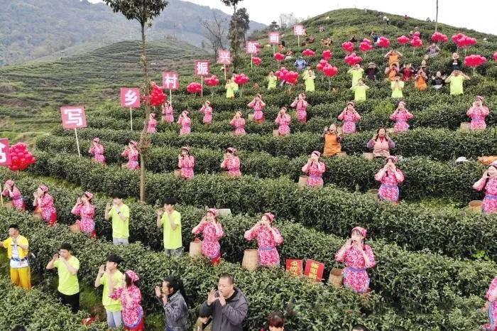 有关于四川大竹上演传统民俗“喊山开茶”(组图)的热门资讯