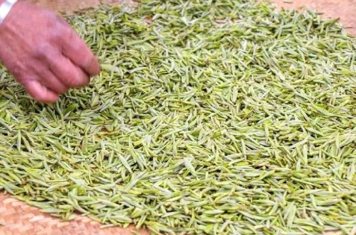 关于三峡库区:发展茶产业 绿了山头甜上心头的热门新闻(2)