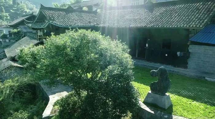 有关于中欧地理标志协定正式生效 古丈毛尖和保靖黄金茶被纳入互认清单的最新资讯(3)