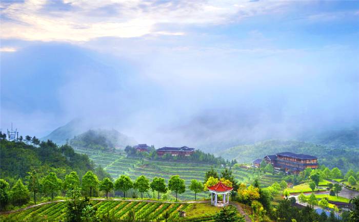 有关于一周速读丨茶行业科技创新成果、2021年古树春茶产量分析、中国茶的困局的新闻(2)