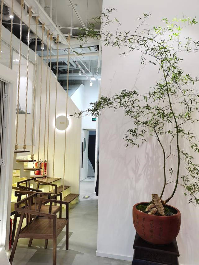 关于野生茶行业标准研制工作会在北京碧水潺茶空间举办的最新资讯(5)