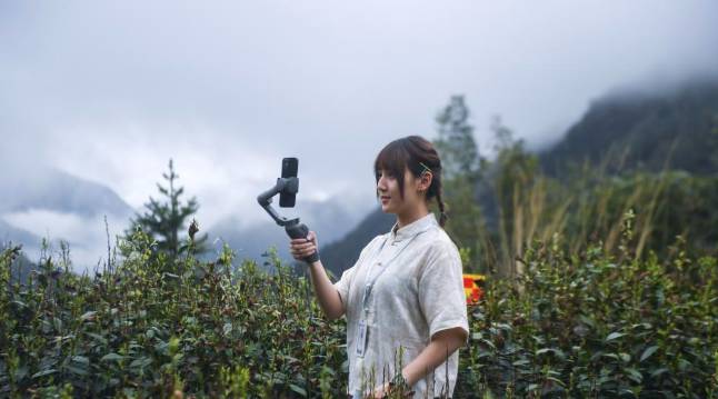 有关于杭州东坑村：2000余亩高山有机茶正式开采现场直播的最新消息(1)