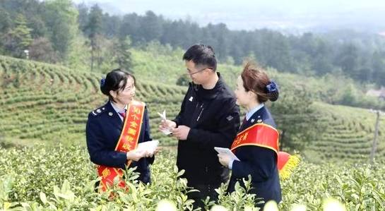 有关于大冶市税务局税法宣传走进“白茶文化节”的最新资讯(1)