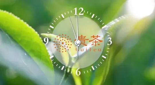 关于贵茶集团登陆央视财经频道，你发现了吗？的热门新闻(5)