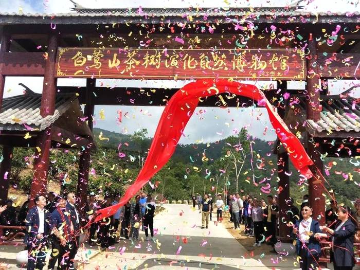 有关于中国首家茶树演化自然博物馆在临沧白莺山挂牌的新闻(3)