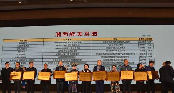 有关于中国黄金茶之乡湘西茶叶推介会 推动茶叶产业高质量发展的信息(10)