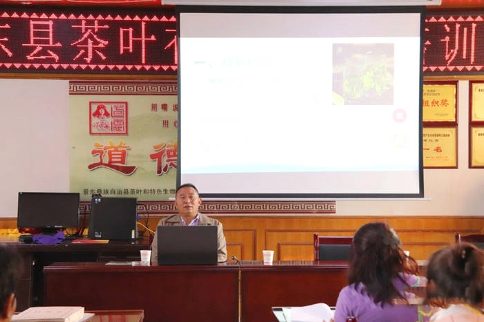 有关于生物多样性丰富的自然生态环境，是景东有机茶发展的最大优势的最新消息(4)