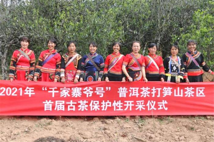 关于一周速读：2021全国春茶产销情况、凤庆35.6万亩茶园同步开采、蒙顶山茶价值40亿的最新资讯(1)