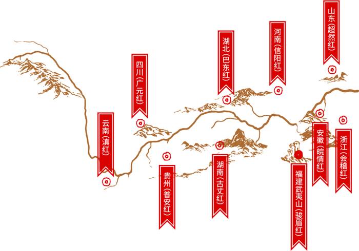 关于茶叶龙头企业的责任与担当——看“骏眉中国”如何助力脱贫攻坚与乡村振兴的热门信息(3)