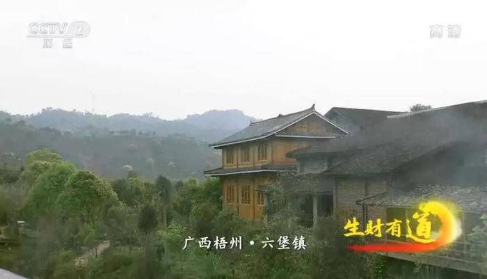 有关于梧州六堡茶又双叒叕上央视！为六堡茶打call！的资讯(3)