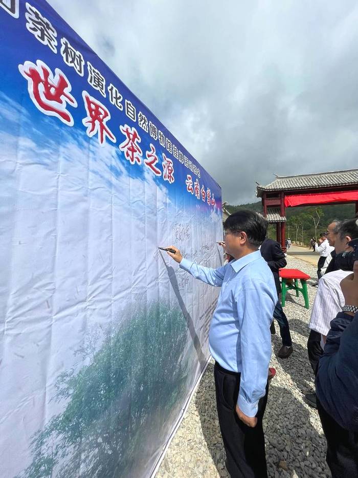 关于中国首家茶树演化自然博物馆在临沧白莺山挂牌的资讯(1)