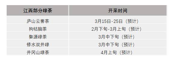 有关于2021年春茶已开采各名茶区绿茶采摘时间汇总的新闻(12)