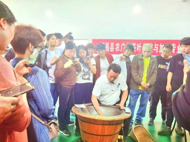 关于理论实践紧密结合，加快茶叶职业技能提升步伐的资讯(9)