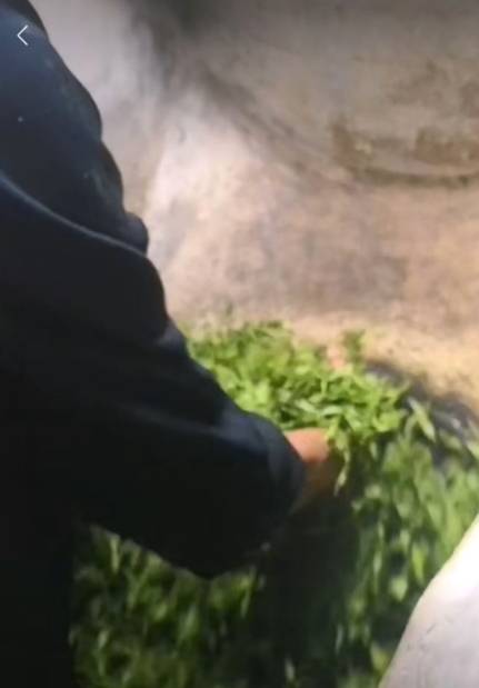 有关于借助高端平台 走进高端人群 实现品牌增值的新闻(4)